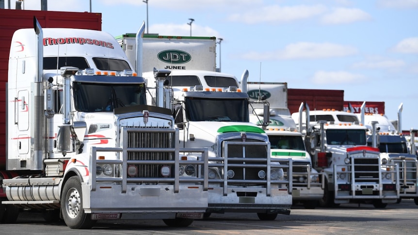 Five B-Double trucks lined up side-by-side.