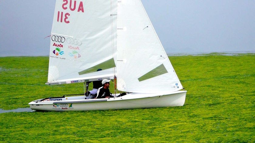 Australia's 470 men's crew, Nathan Wilmot and Malcolm Page, negotiate their way through algae on the Beijing Olympic Games sailing course at Qingdao.