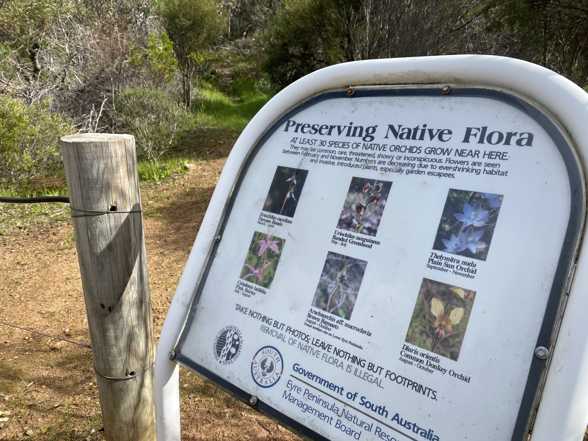 Un cartel con orquídeas nativas e información frente a un camino de tierra y arbustos.