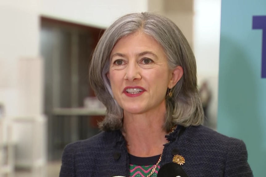 A woman with grey hair wearing a blazer