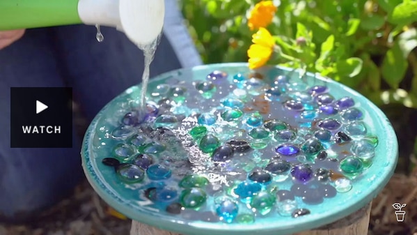A bird bath filled with coloured glass pebbles. Has Video.