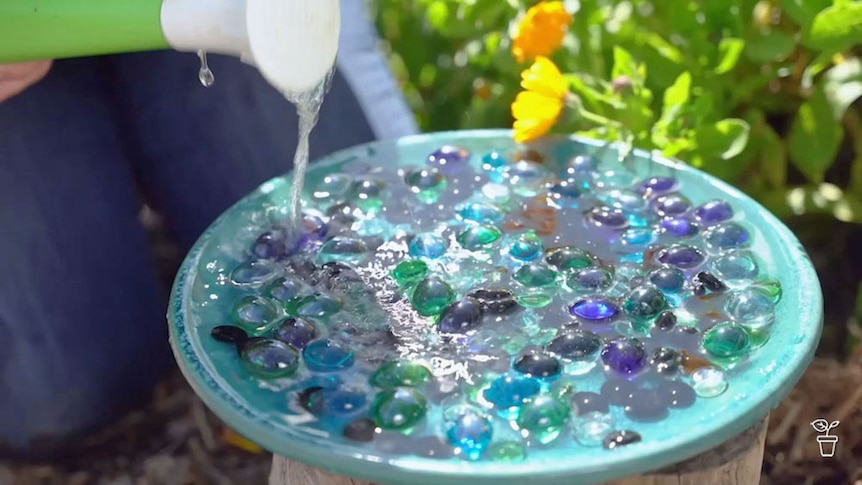 A bird bath filled with coloured glass pebbles.