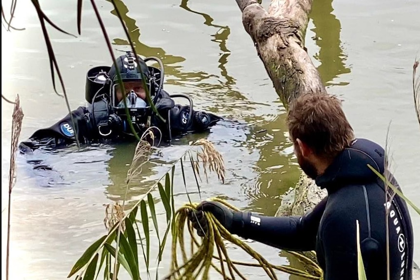 Divers in the water.