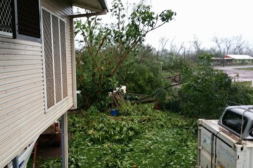 Cyclone Lam has caused trees to be blown over in Ramingining