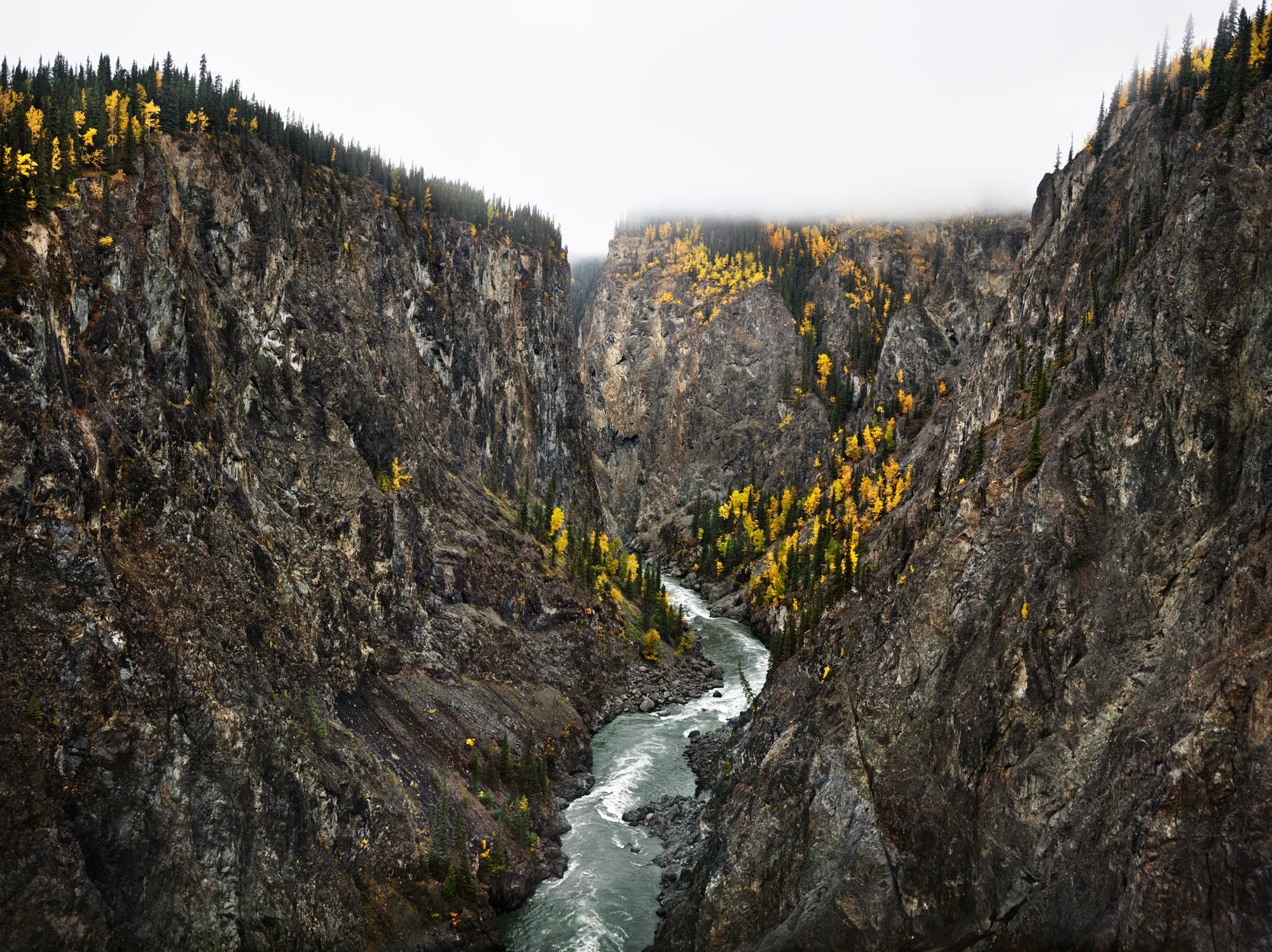 A river in a valley surrounded by yellow trees