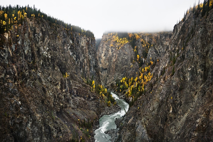 A river in a valley surrounded by yellow trees