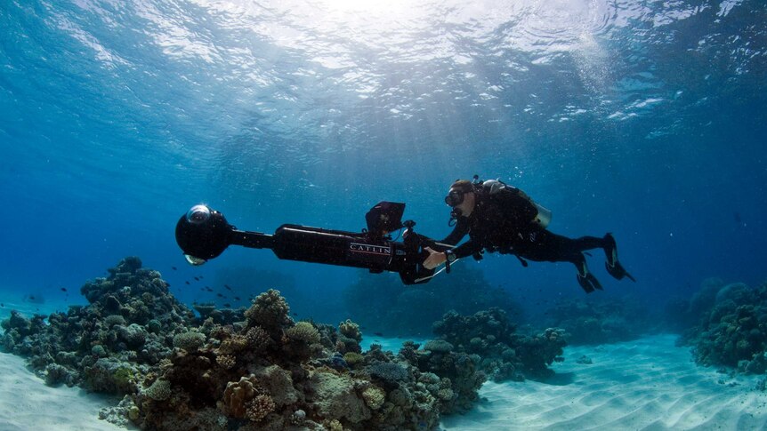 Surveying the Great Barrier Reef