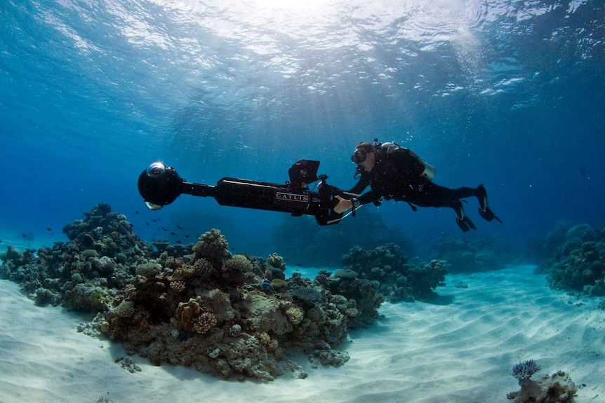 Surveying the Great Barrier Reef