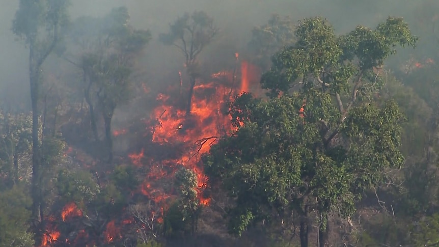 A bushfire burning in a Queensland national park