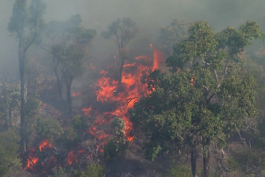 A bushfire burning in a Queensland national park