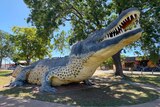 A giant crocodile statue