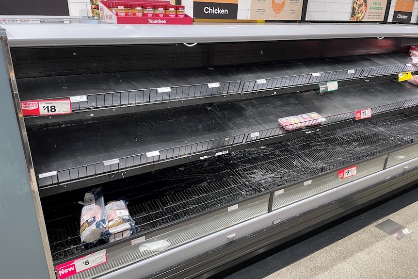 Empty meat shelves in a supermarket