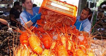 Two men tip over a crate of crayfish onto ice at the fish markets.