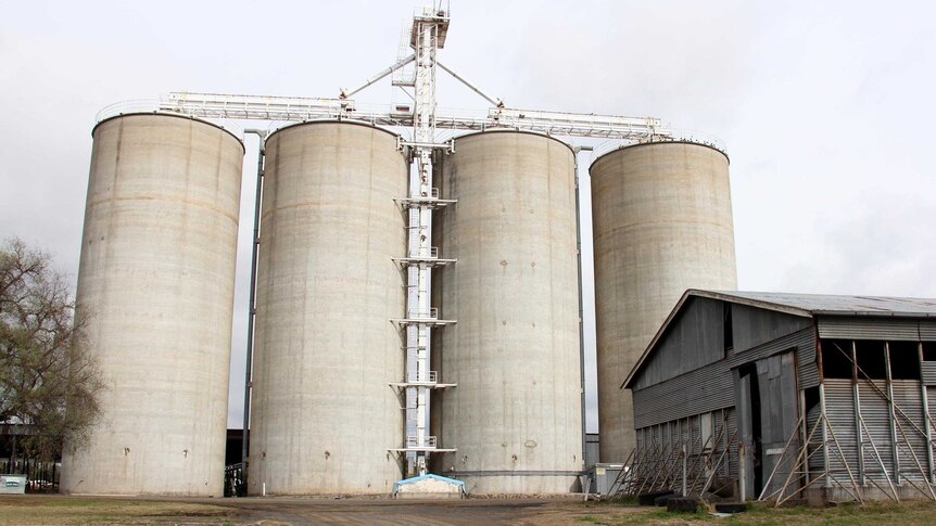 Grain silos in Oakey.