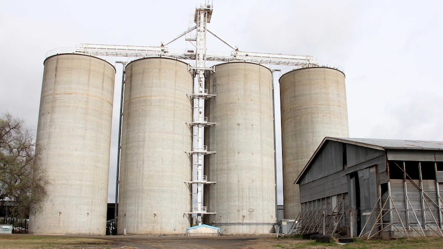 Grain silos in Oakey.