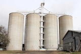 Grain silos in Oakey.
