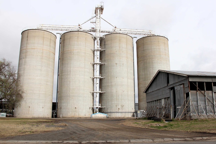 Grain silos in Oakey.