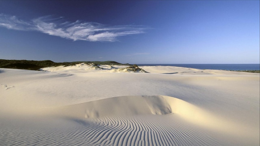 Sand island: Fraser Island is the biggest sand island in the world