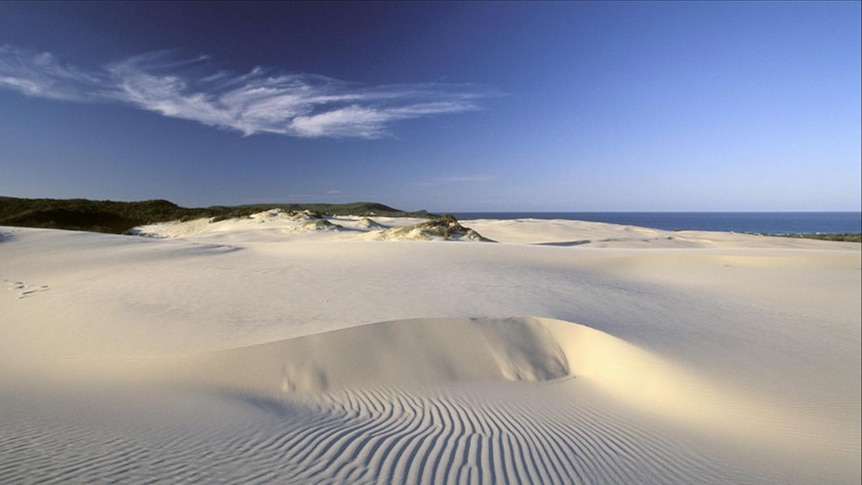 Fraser Island