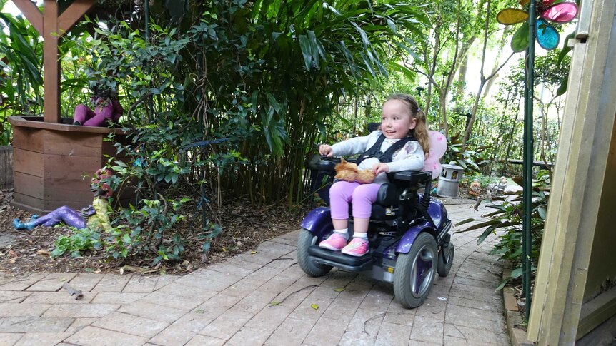 Ruby in a mobility scooter.