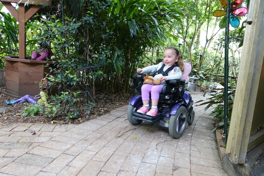 Ruby in a mobility scooter.