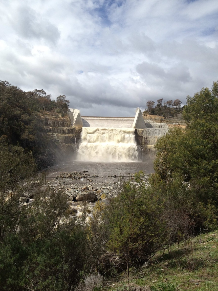 The Googong Dam near Queanbeyan is spilling over for the first time in a year and a half.