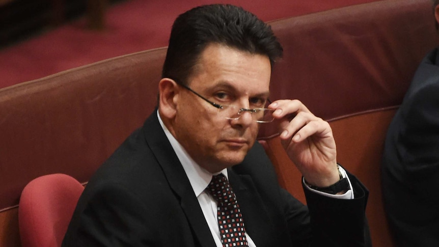 NXT leader Nick Xenophon in the Senate, Nov 29 2016