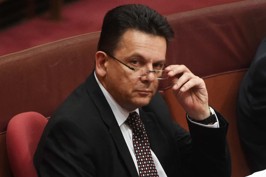 NXT leader Nick Xenophon in the Senate, Nov 29 2016