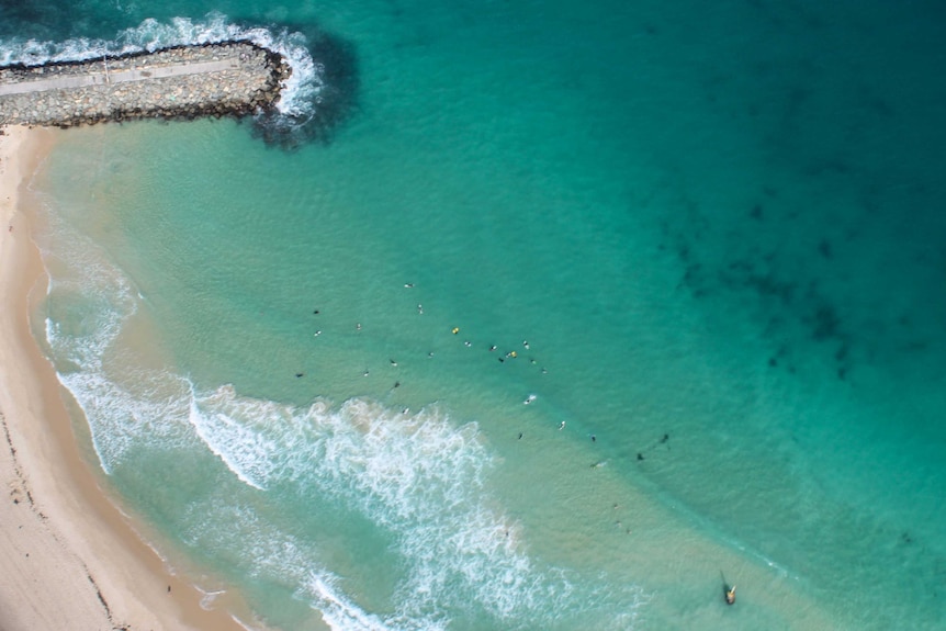 Paddlers at Cottesloe beach, from the air.