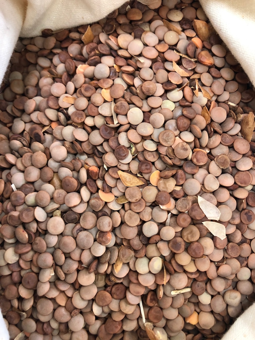 Discoloured lentils in a bag.