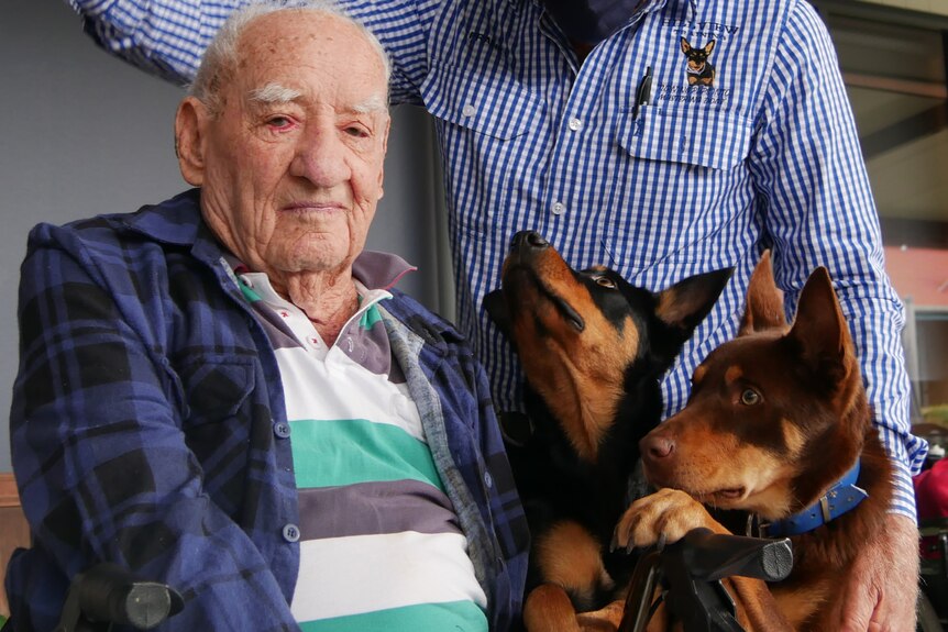 Muster Dogs stars Frank Finger, Annie and Lucifer visit Clermont aged