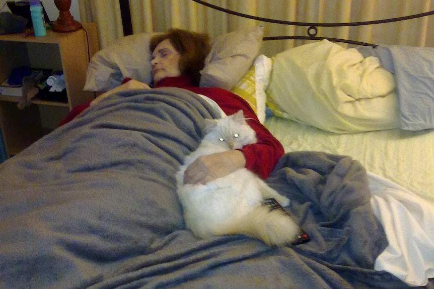 Mary Ann Payton with her cat in her bed