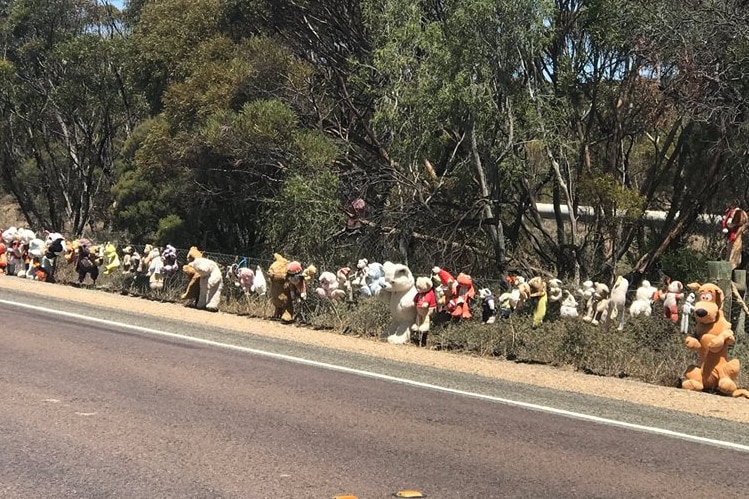 Soft toys tied to a wire fence along the Copper Coast Highway.