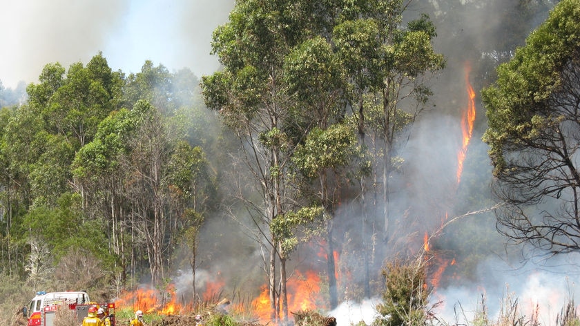 Tasmanian Fire Service crews battle a bushfire in Wayatinah