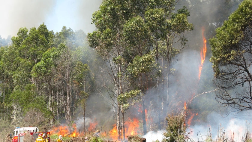 The fire has burnt nearly 6,000 hectares between Wayatinah and Ouse.