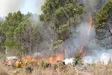 Tasmanian Fire Service crews battle a bushfire in Wayatinah