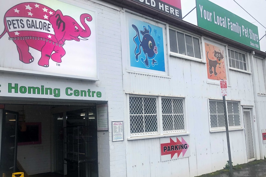 A Pets Galore shopfront featuring a brightly-coloured cartoon elephant.