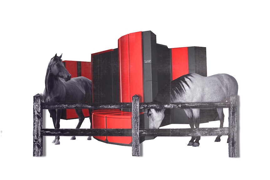 An illustration of a supercomputer nestled between two horses behind a paddock fence.