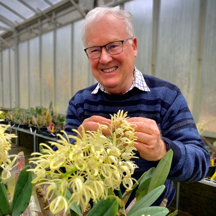 A natural world scientist at work