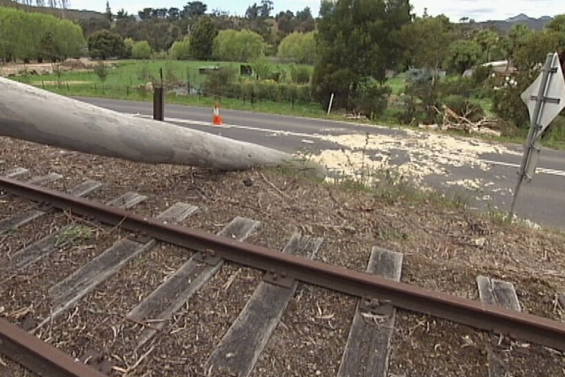 Strong winds bring down a tree across a rail line at Boyer in southern Tasmania