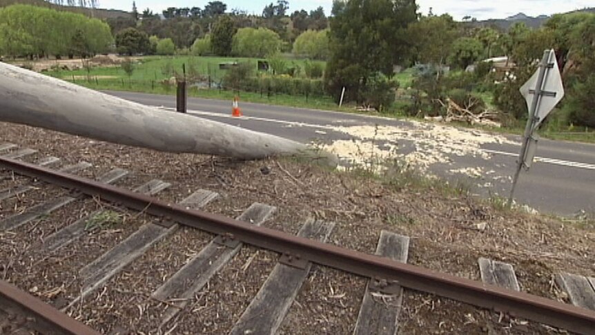 Strong winds bring down a tree across a rail line at Boyer in southern Tasmania