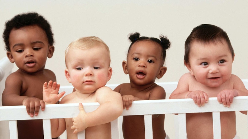 Four toddlers in a cot