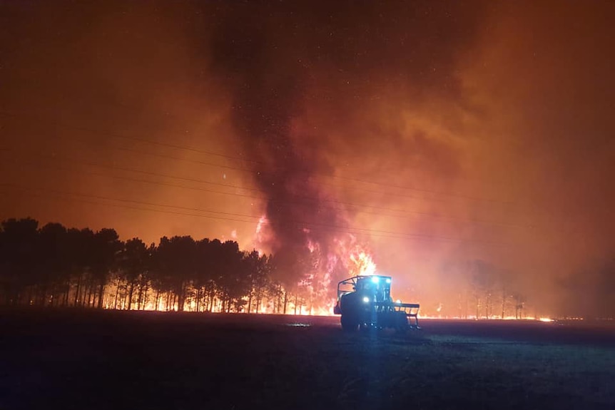 A fire whirl from a bushfire north of Perth rises from trees into an orange night sky with a tractor in a field below.