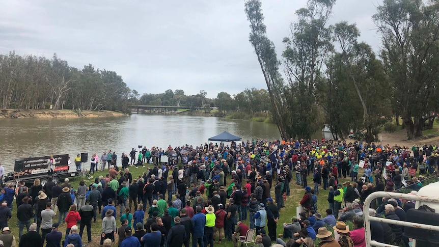 thousands of people stand along the banks of the Murray River