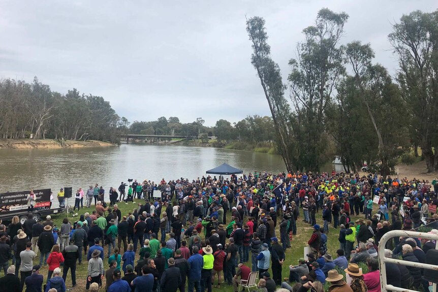 Hundreds of people stand along the banks of the Murray River