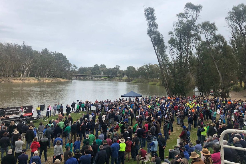 Hundreds of people stand along the banks of the Murray River