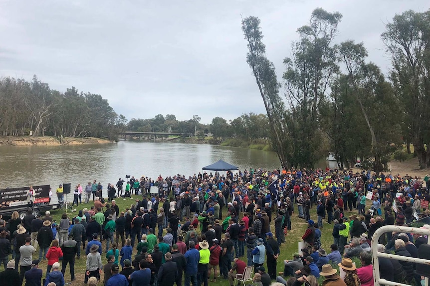 thousands of people stand along the banks of the Murray River