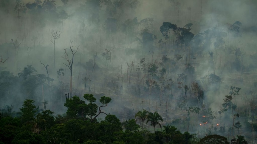 Aerial view showing smoke rising from an illegal fire destroying Amazonian rainforest in Porto Velho, Rondonia state, Brazil