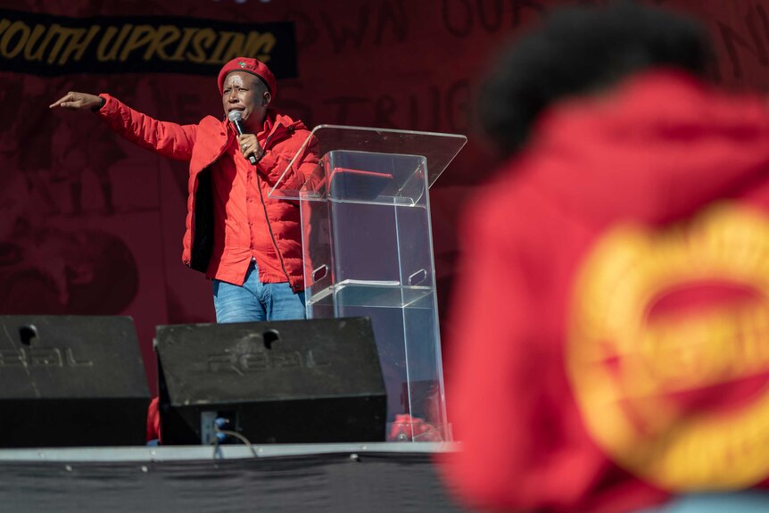 Julius Malema's EFF has 25 members in the national parliament. Pictured here speaking at a rally.
