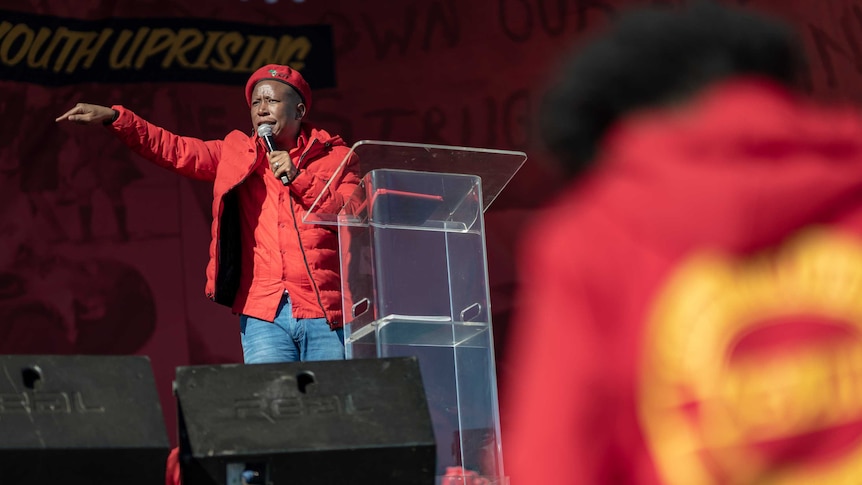 Julius Malema's EFF has 25 members in the national parliament. Pictured here speaking at a rally.